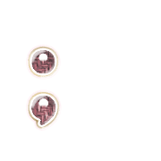 243