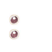 244