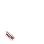 256