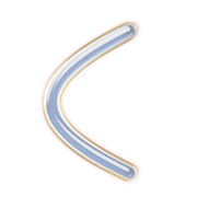 008