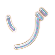 145