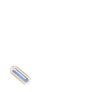 256