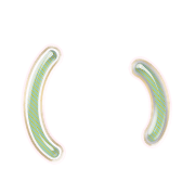 002