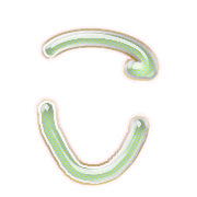 010