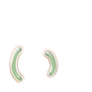 048