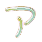 081