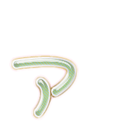 127
