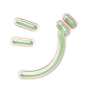 142