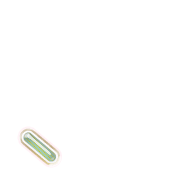 256