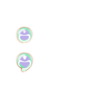 243