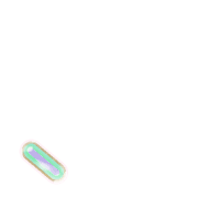 256