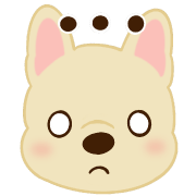 016
