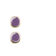 244