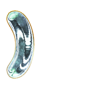 074