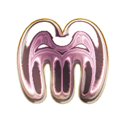 013