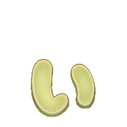 048