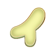 082