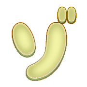 145