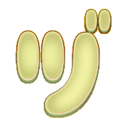 148