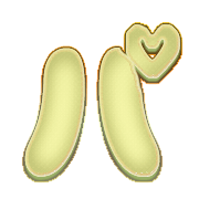 156