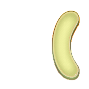 234