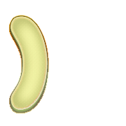 235
