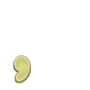 245