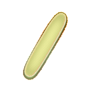 247