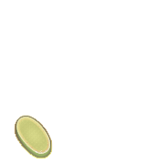 256