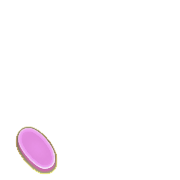 256