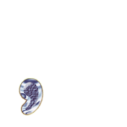 245