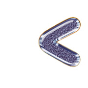 248