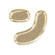 126