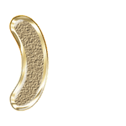 235