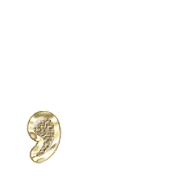 245
