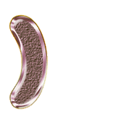 235