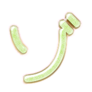 145