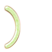 235