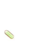 256