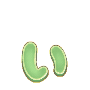 048