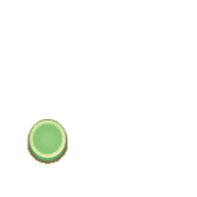 246