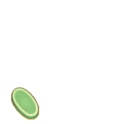 256