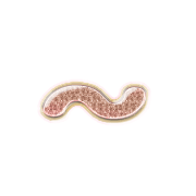 224