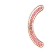 234
