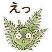 003