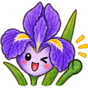 004