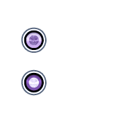 244