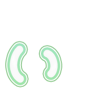 048