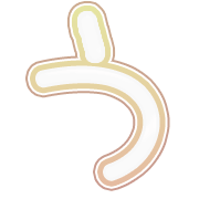 003