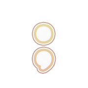 243